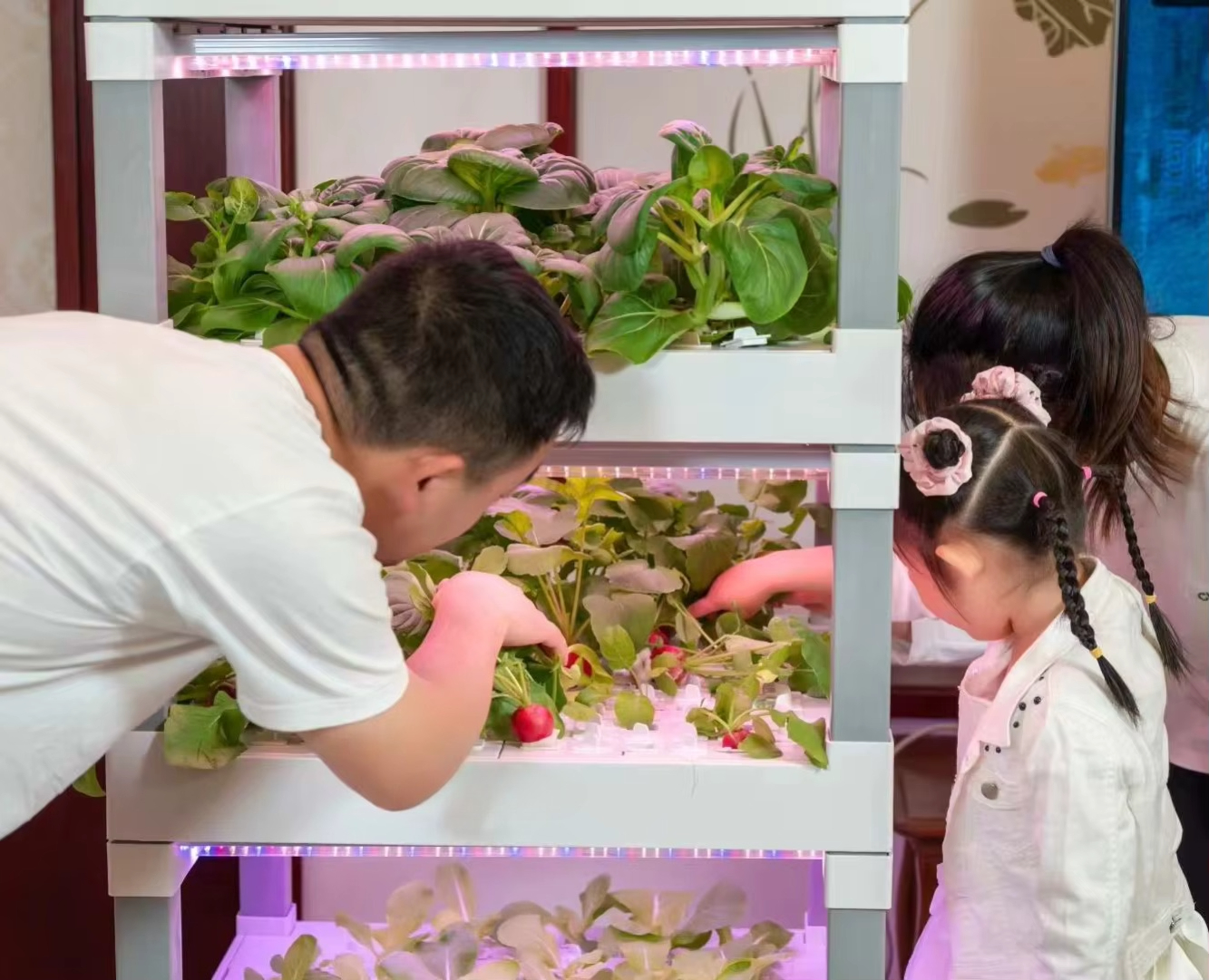 nt China Hydrokultur Grow Box  – обзор и цена Home Automation Systems Diy